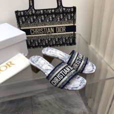 Christian Dior Slippers